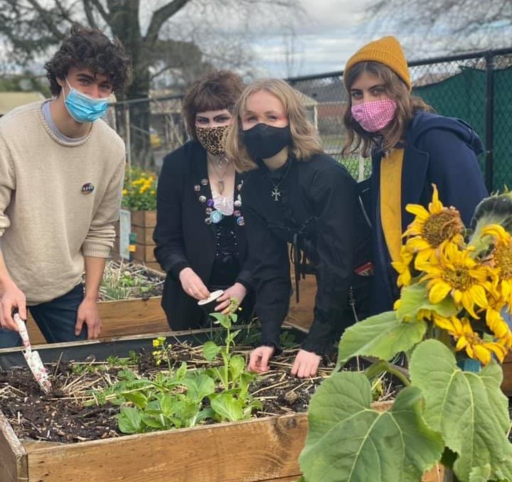 Young people planting a garden bed